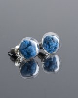 Stud earrings with blue stones